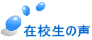 ݍZ̐